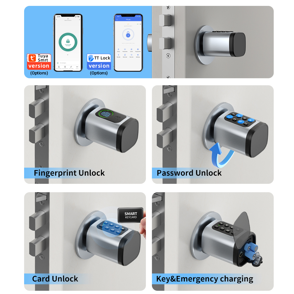 RAYKUBE V1 Tuya BLE TT ロックスマート - Home Automation System Diy のレビューと価格